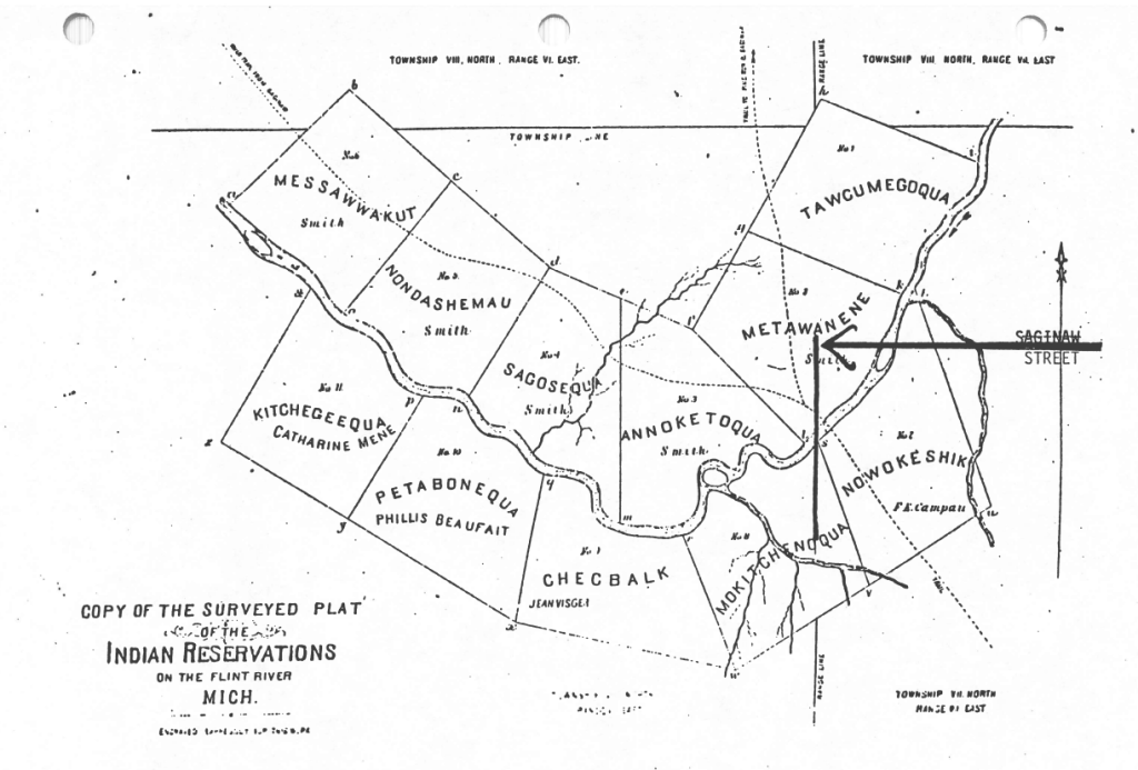 Map: Flint River Indian Reservations&nbsp;1879